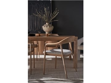 Thumbnail Echo Dining Arm Chair