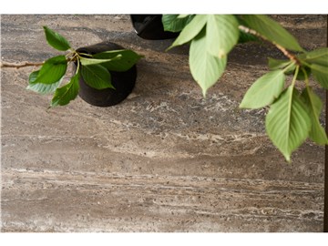 Thumbnail Brindle Cocktail Table 3