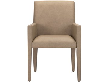 Brume Arm Chair thumbnail