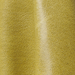 MONT BLANC SPRUCE