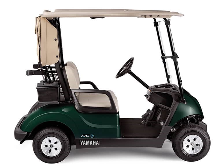 2011 Club Car® DS Player Gas