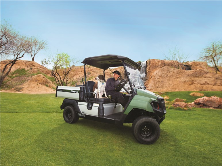 Cart Example