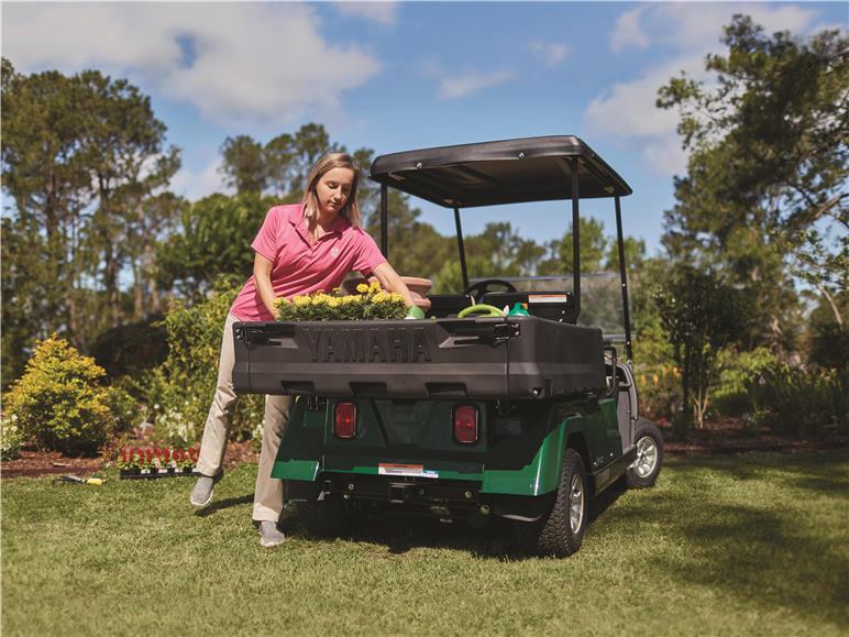 Cart Example