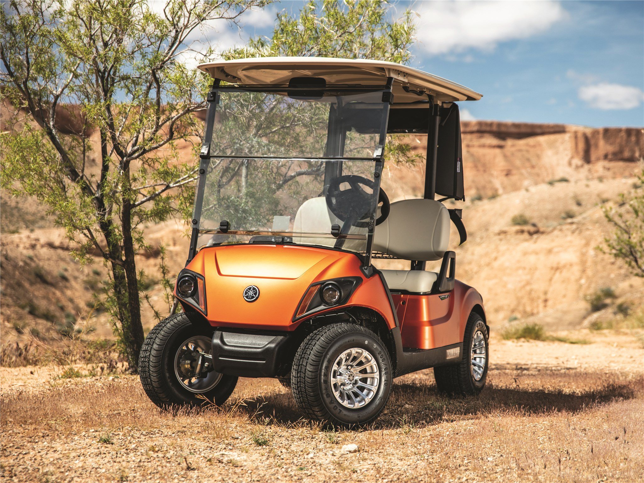 tour cart golf carts